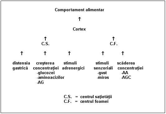 Text Box: Comportament alimentar



Cortex
 
 
C.S. C.F.

     

 distensia cresterea stimuli stimuli scaderea
 gastrica concentratiei adrenergici senzoriali concentratiei
 -glucozei -gust -AA
 -aminoacizilor -miros -AGC
 -AG


 C.S. = centrul satietatii
 C.F. = centrul foamei

