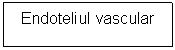 Text Box: Endoteliul vascular