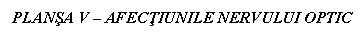 Text Box: PLANSA V - AFECTIUNILE NERVULUI OPTIC