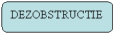 Rounded Rectangle: DEZOBSTRUCTIE