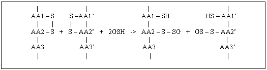 Text Box: | | | | 
 AA1 - S S -AA1' AA1 - SH HS - AA1' 
 | | | | | |
 AA2 - S + S - AA2' + 2GSH -> AA2 - S - SG + GS - S - AA2' 
 | | | |
 AA3 AA3' AA3 AA3' 
 | | | | 
