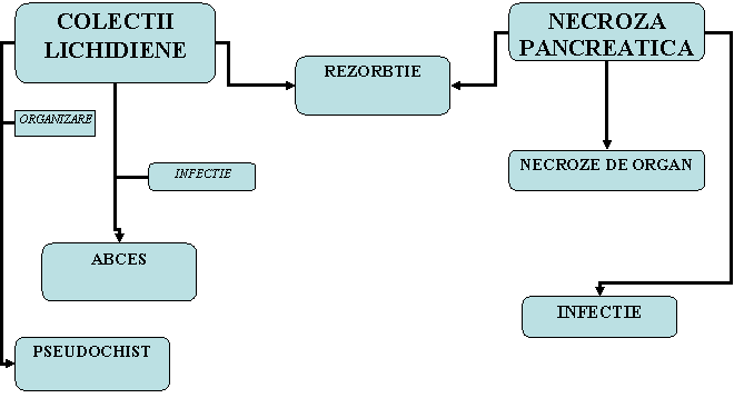 Organization Chart