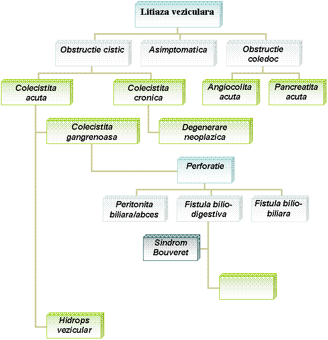 Organization Chart