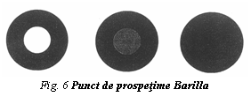 Text Box:  
Fig. 6 Punct de prospetime Barilla
