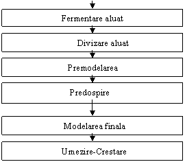 Text Box:                            Predospire