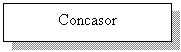 Text Box: Concasor