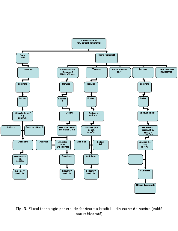 Organization Chart