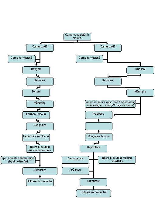 Organization Chart