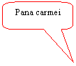 Rounded Rectangular Callout: Pana carmei