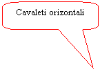 Rounded Rectangular Callout: Cavaleti orizontali