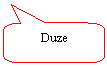 Rounded Rectangular Callout: Duze