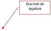 Line Callout 2: Bracheti de legatura 