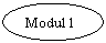 Oval: Modul 1