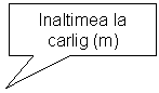 Rectangular Callout: Inaltimea la carlig (m)