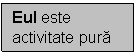 Text Box: Eul este activitate pura