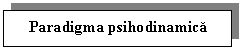 Text Box: Paradigma psihodinamica