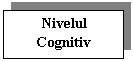 Text Box: Nivelul Cognitiv