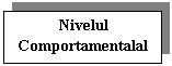 Text Box: Nivelul
Comportamentalal
