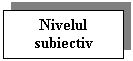 Text Box: Nivelul subiectiv