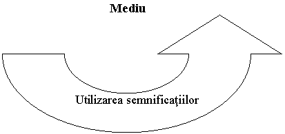 Circular Arrow: Mediu






 Utilizarea semnificatiilor
