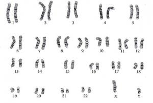 Cariotipul uman normal