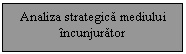 Text Box: Analiza strategica mediului incunjurator