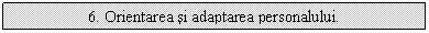 Text Box: 6. Orientarea si adaptarea personalului.