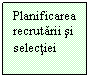 Text Box: Planificarea recrutarii si selectiei