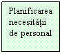 Text Box: Planificarea necesitatii de personal
