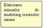 Text Box: Elaborarea masurilor de marketing resurselor umane