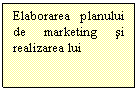 Text Box: Elaborarea planului de marketing si realizarea lui