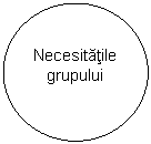 Oval: Necesitatile grupului
