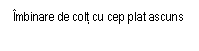 Text Box: Imbinare de colt cu cep plat ascuns