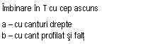 Text Box: Imbinare in T cu cep ascuns
a  cu canturi drepte
b  cu cant profilat si falt
