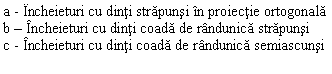 Text Box: a - Incheieturi cu dinti strapunsi in proiectie ortogonala
b  Incheieturi cu dinti coada de randunica strapunsi
c - Incheieturi cu dinti coada de randunica semiascunsi

