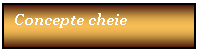 Text Box: Concepte cheie