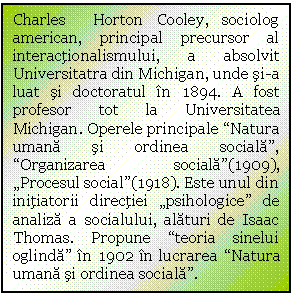 Text Box: Charles  Horton Cooley, sociolog american, principal precursor al interactionalismului, a absolvit Universitatra din Michigan, unde si-a luat si doctoratul in 1894. A fost profesor tot la Universitatea Michigan. Operele principale 