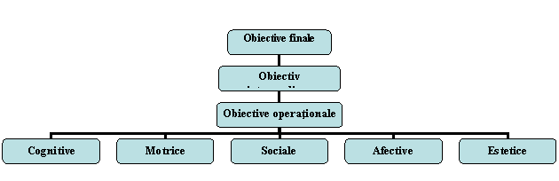 Organization Chart