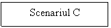 Text Box: Scenariul C