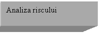 Text Box: Analiza riscului