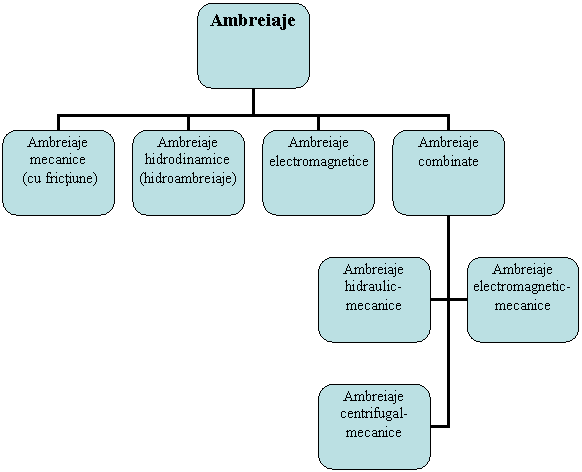 Organization Chart