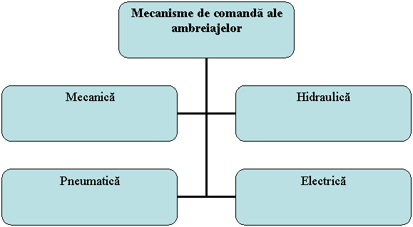 Organization Chart