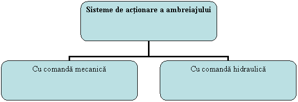 Organization Chart