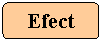 Flowchart: Alternate Process: Efect