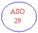 Oval: ASO
  29
