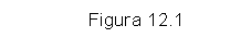 Text Box:               Figura 12.1