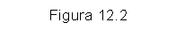 Text Box: Figura 12.2