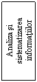 Text Box: Analiza si sistematizarea informatiilor