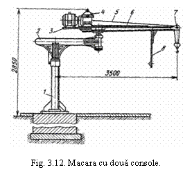 Text Box:  

Fig. 3.12. Macara cu doua console.
