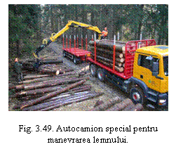Text Box:  

Fig. 3.49. Autocamion special pentru manevrarea lemnului.
